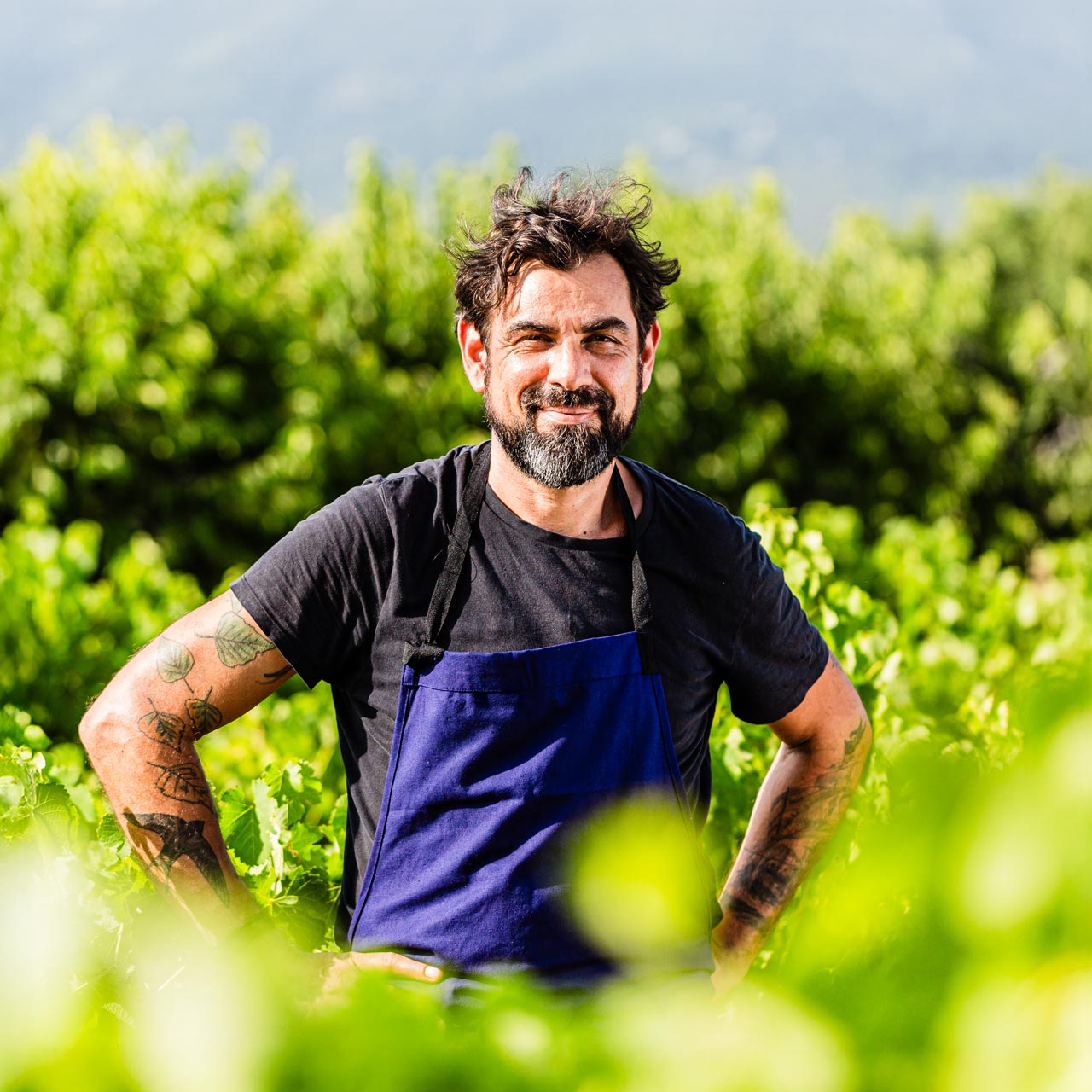 LA-COLOMBE-212 Restaurant-la-colombe-bedoin-mont-ventoux-Christophe Schuffenecker